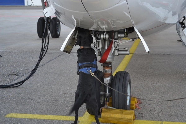 Samenwerken met het Twickelerveld