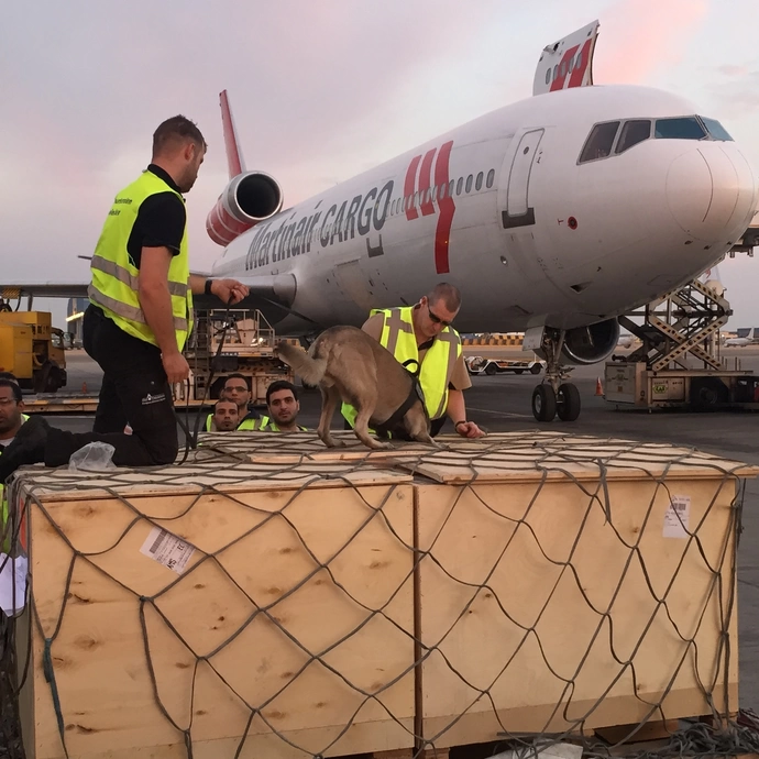 EDD interventie team