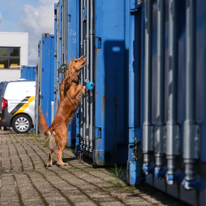 Speurhond Ondermijning