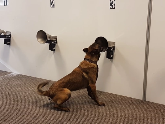 Speurhondengeleider REST (Remote Explosive Scent Tracing)