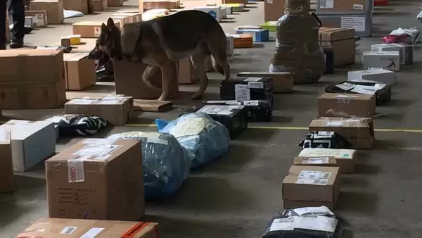 Post Pakket controles