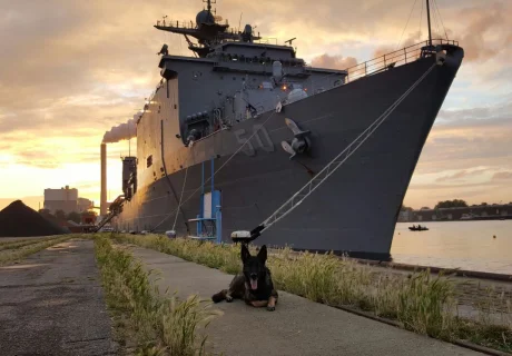 Nautic Security Solution