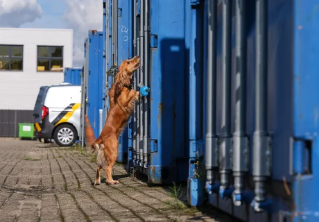 Speurhond Ondermijning